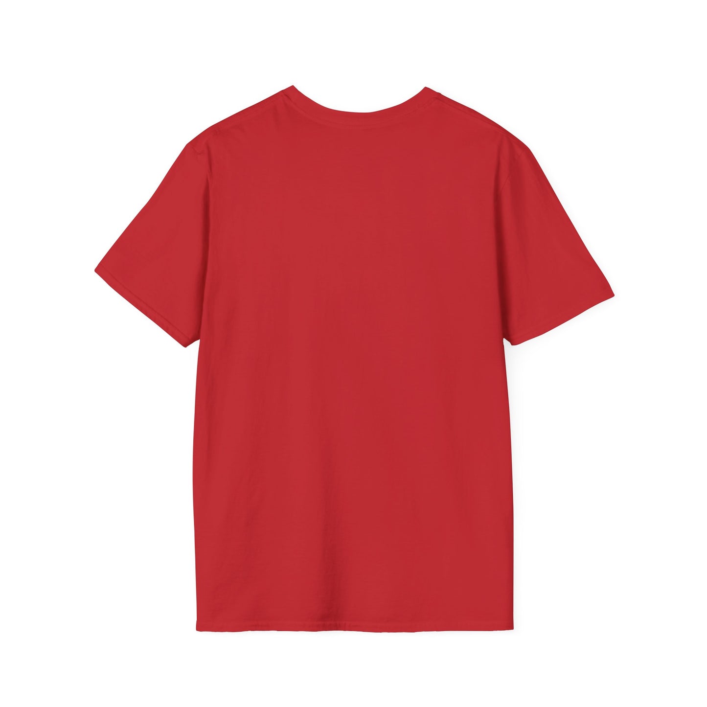 Rock & Roll Eagle T-Shirt — Born, Raised on Rock & Roll Graphic Tee